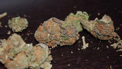 Drugs marijuana