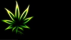 Drugs marijuana weed Cannabis