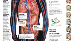 Drugs meth infographics