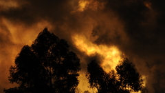 Dsc blurry but framed