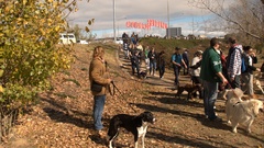 Dsc canberra million paws