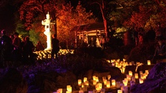 Dsc canberra nara candle