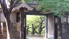 Dsc dumping vacation high