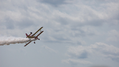 Dsc The only posting