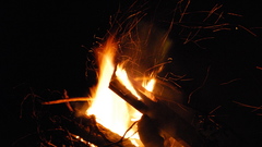 Dsc took This couple