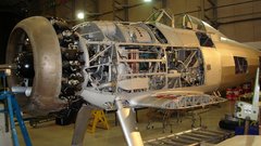 Dscgloster Gladiator high