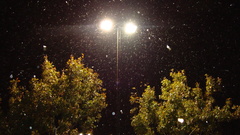 Dschouston snow high