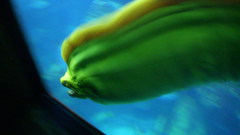 Dscn thatpic from The