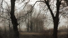 Dscw original content plz