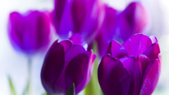 Dsfgfdg does anyone have