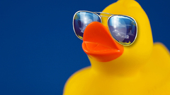 Ducks sunglasses Simple Background