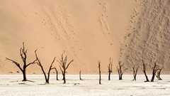 Dunes Africa Namibia deserts Namib Desert