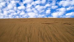 Dunes Michigan grand sable