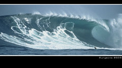 Dungeons Sea nature big