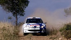 Dust cars Peugeot rally races gravel peugeot 206