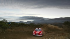 Dust Peugeot rally races gravel racing wrc marlboro Rally Car 