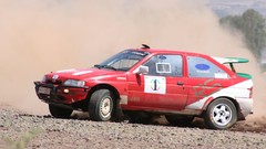 Dust rally vehicles racing
