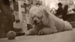 Dusty contrastfix dustremoved high