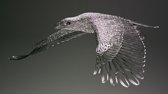 Eagle flying still problem