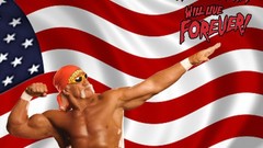 Eagles Flags USA Uncle