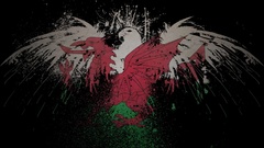 Eagles Flags wales World