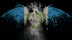 Eagles hawk guatemala