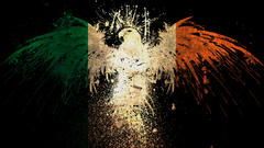 Eagles Ireland Flags