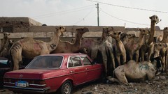 Earth national geographic market Cairo