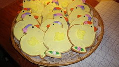 Easter chicks best photo