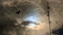 Eclipse October 2005 high valladolid Resolution