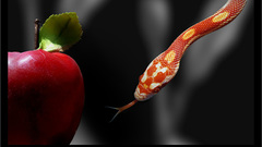 Eden artwork vipermike snake