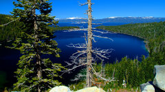 Edenpics com The emerald