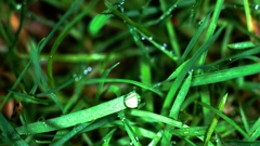 Edit few others Made