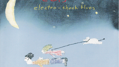 Eels Album covers Music