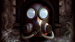 Efvgefgv sxc sdv sfd