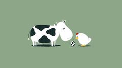 Eggs chicken illustrations Cows