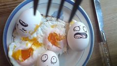 Eggs terror