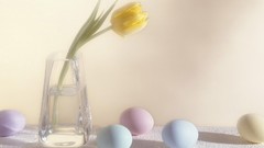 Eggs tulips vase yellow flowers