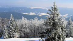 Ekowalska winter theme