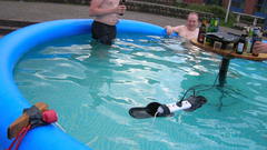 Electricity stupidity