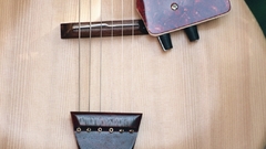 Electrocoustic guitar high-quality Music