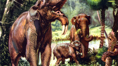 Elephants drawings artwork Zdenek