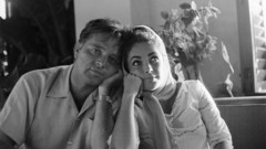 Elizabeth Taylor 20th century