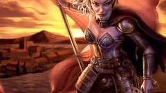 Elves neverwinter nights paladin