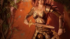 Elves neverwinter nights paladin