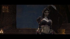 Elves video games kingdoms of amalur reckoning