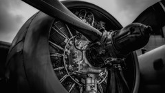 Engine Aircraft propeller grayscale radial