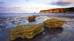 England bay Yorkshire