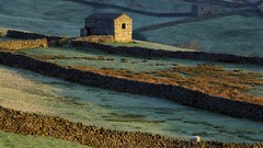England fields Yorkshire common
