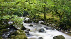 England rocks national park rivers dartmoor